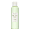 Earth To Skin Tea Time Green Tea Anti Aging Face Toner Natural Nourishment Purify And Cleanse Facial Toner For All Skin Types 4.9 Fl Oz