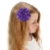 Jollybows 30Pcs Baby Girls Alligator Hair Clips Chiffon Flower Hair Clips
