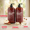 Botanic Hearth Apple Cider Vinegar Shampoo And Conditioner Set 16 Fl Oz