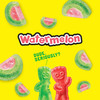Sour Patch Kids Watermelon Soft And Chewy Gummy Candy Family Size 1.8 Lb