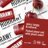 Hurraw Raspberry Tinted Black Cherry Tinted Hazelnut Tinted Lip Balms 3 Pack Bundle Organic Vegan Cruelty And Gluten Free. Made In Usa