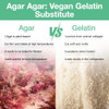 Eco Taste Agar Agar Powder 1000 Strength 5.3Oz