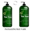 New York Biology Tea Tree Shampoo 16.9 Fl Oz