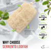 Serrento Natural Loofah Sponge Egyptian Luffa Body Scrubber Pack Of 1 For Men And Women Natural Bath And Shower Loofah Exfoliator All