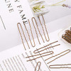 Aiex 200 Pieces U Shaped Hairpins Kit Hair Clips