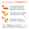 Botanic Tree Vitamin C Face Wash Facial Cleanser For All Skin Types Aging Or Dry Skin Minimizing Acne Scars Brightening Reduce Breakouts