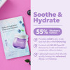 Frudia Blueberry Hydrating Mask Sheets 10 Pack Korean Face Masks With 55 Percent Blueberry Extract Vegan Panthenol And Ws Bs Care Ex For