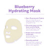Frudia Blueberry Hydrating Mask Sheets 10 Pack Korean Face Masks With 55 Percent Blueberry Extract Vegan Panthenol And Ws Bs Care Ex For