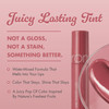 Rom And Nd Juicy Lasting Tint 18 Mulled Peach K Beauty Glossy Lip Stain Hydrating Long Lasting Non Sticky Syrupy Finish Natural Fruit