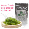 Umibudo Sea Grapes Delicious Green Caviar Seaweed Pure Caulerpa Lentillifera Dehydrated Seagrapes In Brine Net Weight 1.76Oz Makes 1 Per 2