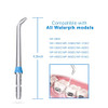 Wp 100 Classic Nozzles Jet Replacement Kit For Ultra Water Flosser