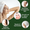 Herblov Tea Tree Oil Soap Bar For Face And Body 4Oz All Natural Remedy Skin Cleanser Pure Essential Oil Infused Skincare Cleansing Soap For