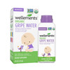 Wellements Organic Gripe Water | Relieves Occasional Stomach Discomfort from Baby Gas, Colic, Hiccups and Fussiness | Certified Organic and Non-GMO |