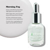 Nailtopia Bio Sourced Chip Free Nail Lacquer All Natural Strengthening Biotin And Superfood Infused Polish Chip Resistant Formula Quick Dry