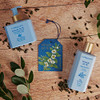 L Erbolario Body And Hand Cream Toning And Moisturizing Hand Lotion For Women And Men With Cocoa Butter Citrus Floral Scent Tea Leaves 8.4