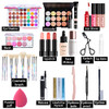 Pure Vie All In One Holiday Gift Surprise Makeup Set Essential Starter Bundle Include Eyeshadow Palette Lipstick Concealer Blush Mascara