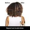 L Oréal Professionnel Absolut Repair Golden Mask For Dry Hair