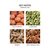 Nest New York Liquid Soap Pumpkin Chai 10 Fl Oz
