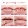 Tinted Lip Balm Lipstick Hydrating Natural Glossy Long Lasting Moisturizing And Nourishing Lip Care With Natural Ingredients Transparent