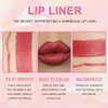 Evpct 1Pcs Mauve Red Metallic Lip Liner And Lipstick Set Kit For Women Lips Kit With Lip Liner Lip Stains Long Lasting Waterproof 24 Hour