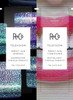 R Plus Co Television Perfect Shampoo Conditioner Tandem Packette Body Plus Shine Plus Smoothing For All Hair Types Vegan Plus Cruelty Free