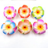 10Pcs Multicolor Hawaii Plumeria Flower Clips Hawaiian Flowers Hair Barrettes Beach Party Hair Clips Artificial Tropical Flower Hairpins For