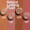 Physicians Formula Powder Palette Multi-Colored Blush, Silky Smooth Formula, Hypoallergenic, Blends Easily Without Irritation  Blushing Natural