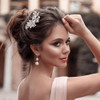 Pagow Hair Clips 2Pcs Crystal Flower Bridal Hair Accessories Silver Rhinestone Hair Pins Wedding Headpiece For Brides Women Girls