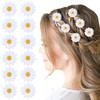 12 Pcs Daisy Hair Clips White Daisy Flower Hair Clips Vintage Sun Flower With Hair Alligators Clips Hair Barrette For Women Wedding Hair