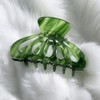 1 Piece Of Luxurious Green Diagonal Plastic Hair Clip For Women Suitable For Various Daily Wear Outdoor Dressing Beautiful And Fashionable