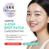 Ootd Caredermthin 2 Step Spot Pimple Patches 144Ea Korean Skincare