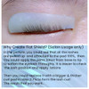 Korean Flat Shields Ultra Thin Lash Lift Pad For No.1 Perm Soften Eyelashes 100 Percent Korean Glueless Pads Glueless Lash Lifting Shield