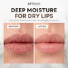 Shea Butter Lip Balm Moisturizing Coconut Chapstick For Dry Cracked Lips
