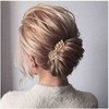 Yheakne Rhinestone Wedding Hair Clip Barrette Gold Crystal Hair Barrette Shine Bride Headpieces Decorative Headwear Crystal Hair Clip Comb