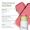 Well People Supernatural Stick Multi Use Blush Pomegranate