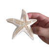 Funny Big Starfish Hair Clip Acetate Hair Clip Big Claw Clip For Women White 1 Count Pack Of 1