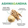 Ashwagandha Gummies 30:1 Extract - 3000mg Equivalent - Advanced Ashwagandha Gummy Formula for Daily Use - Adaptogenic Supplement for Natural Calm, Re