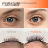 Lilyeve Growturn Korean Lash Growth Serum And Mascara 0.27 Fl Oz
