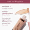 Liquid Concealer Light Cool 0.24 Fl Oz Pack Of 1