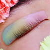 Korean Flat Shield Korea Lash Lift Pad Thin Eyelash Lifting Pads For No.1 Perm Soften And Curl Lashes 2 In 1 Glueless Curling Rod For Salon