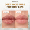 Coconut Lip Balm Moisturizing Coconut Oil Chapstick For Dry Cracked Lips