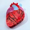 Kemmintvn Anatomical Heart Hair Claw Red Acrylic Medical Design Hair Clip Statement Fashion Accessory For Women