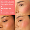 Mondsub Jelly Dough Blusher 05 Cinnamon Airbrushed Cinnamon Blush Seamless Skin Melt Technology Non Sticky Cream To Powder Finish
