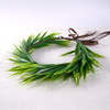 Korvishow Hawaiian Leaf Crown Headband Tropical Green Leaves Headpiece