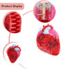 Novelty Anatomical Heart Hair Claw Clip Red And White 1 Piece