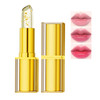 Color Changing Lipstick Lipstick For Older Women Lip Stick For Women 1