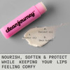 Cleanjourney Lip Balm Set 99 Percent Natural Origin Nourishes And Protects Castor Oil Coconut Oil And Shea Butter Ewg Verified Vegan For Dry