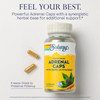 SOLARAY Adrenal Caps, Freeze-Dried - Wellness Support Adrenal Cocktail with Herb Activators Eleuthero, Gotu Kola, Licorice and Clove - Lab Verified,