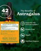 Herb Pharm Certified Organic Astragalus Liquid Extract for Immune System Support - 1 Oz