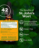 Herb Pharm St. John's Wort Liquid Extract for Positive Mood and Emotional Balance, Cane Alcohol, 1 Ounce